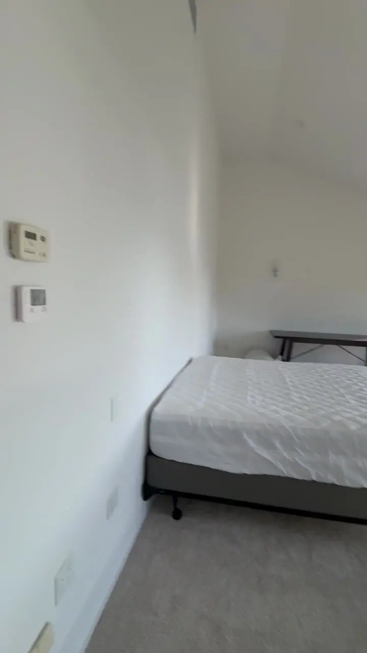Empty bedroom with freshly painted white walls and ceiling, sunlight falling across the carpet